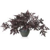 Lyrow front view of six deep purplered stems showing full fall color and impact