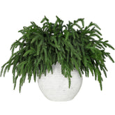 LZNPA front view of twelve bundled pine stems showing full set and depth