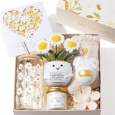 MAYICIVO daisy gift box front view, elegant presentation and instant delight