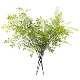 Melorca&Guilla front view of four tall nandina stems showing height and fullness