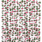 Miracliy front packaging showing nine pink garlands and coverage benefit