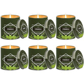 Molensun front tin packaging showing the six-pack and rustic labels for easy gifting