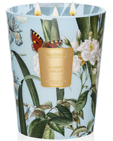 M&SENSE jasmine front packaging showing elegant box for gifting