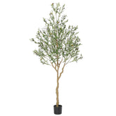 Nafresh front view in pot showing full-height decorative presence
