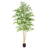 Nafresh front view of potted ficus showing realistic appearance and instant greenery