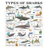 Nairatmya shark blanket front view showing playful shark prints and bright colors for fun décor