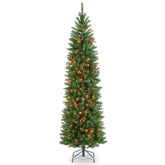 National Tree Company Kingswood Fir front view shows slim profile and full look