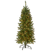 National Tree Company Kingswood Fir front view showing slim profile and full foliage benefit