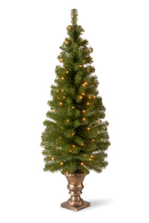 National Tree Company Montclair Spruce front view in gold urn showing compact festive entryway appeal