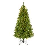National Tree Company front view of full 6ft North Valley Spruce giving festive focal point