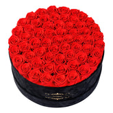 NATROSES front view of 60 red roses in black velvet box, luxurious presentation