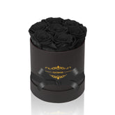 NATROSES front view of black box arrangement showing seven preserved roses and elegant presentation