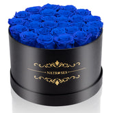 NATROSES front view of black velvet box showcasing royal blue roses, elegant gift presentation
