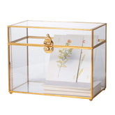 NCYP gold glass box front view showing elegant display benefit