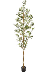 Nearly Natural full 82-inch olive tree showing height and elegant presence