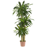 Nearly Natural front view of tall corn stalk dracaena showing sculptural presence and greenery