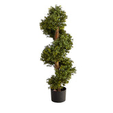 Nearly Natural front view showing spiral topiary and clean entryway benefit
