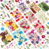 NESCCI front packaging showing full pressed flower kit and variety