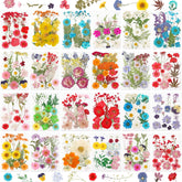 NESCCI front packaging showing full 428-piece pressed flower set and benefits