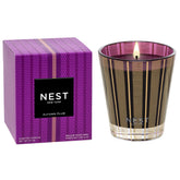 NEST New York front view showing purple glass and gold stripes, elegant decor impact