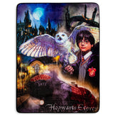 Northwest Harry Potter front print showing vivid artwork and silky texture for vibrant décor