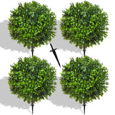 NSOPB front view of four 22-inch topiary balls showing lush foliage and tidy shape