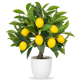 Oairse front view of faux lemon tree brightens tabletop