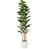 OAKRED fiddle leaf fig front view showing full lifelike presence and instant room greenery