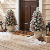 OasisCraft frosted tree front view showing finished look and curb appeal