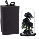 Perfectione Roses glass dome front view showing elegant preserved black roses and wooden base benefit longevity