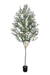 Phimos front view of full-height artificial olive tree showing lifelike presence