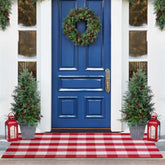 PIXFAIRY front view buffalo plaid rug adds festive curb appeal