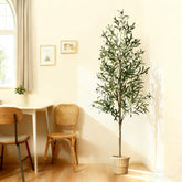 plantsworld faux olive tree front view showing realistic silhouette and instant décor benefit