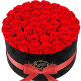 Prifroti front view luxury suede box showing elegant presentation and gifting benefit
