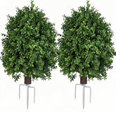 QIANYUN front view of 20-inch topiary showing full round shape and instant curb appeal