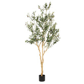REALEAD 7ft olive tree front view showing full-height presence and elegance