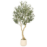 REALEAD front view of 5ft olive tree with white planter shows elegant height and balance