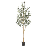 REALEAD olive tree front view showing lifelike foliage and elegant silhouette