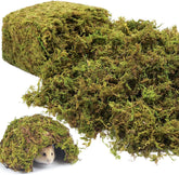 Riare front pile of natural moss showing lush green texture and easy application
