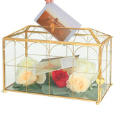 Ripprovt front view showing elegant glass card box and gold frame benefits display
