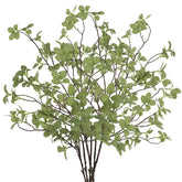 Ruidazon front view of six stems showing full height and realistic look