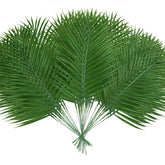 Ruidazon front view showing full pack and lush fronds for instant tropical decor