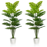 SAJANDAS front view of two 43-inch Monstera plants showing full leafy silhouette for instant greenery