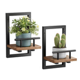 Sbosbo front view of mounted shelves showing neat plant display and space saving