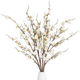 Sggvecsy front packaging showing four white plum blossom branches and boxed set benefit display-ready