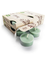 Shortie's front packaging showing the 24-count green tea lights and festive label benefit
