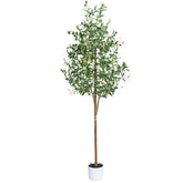 Sillaff front view showing lifelike olive foliage and immediate room impact