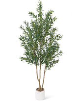 Sillaff olive tree front view showing lifelike leaves and full shape for instant decor
