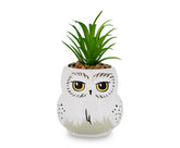 Silver Buffalo Hedwig planter front view showing owl face, adds whimsical desk charm