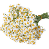 smalldu front packaging showing six bouquet set and compact design benefit